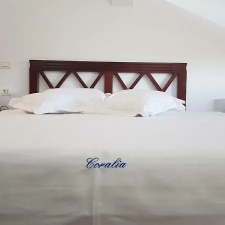 Pensiunea Coralia-2